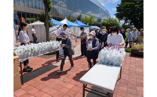 えっ?「花フェスタ」でも「ふるさと納税」が・・・