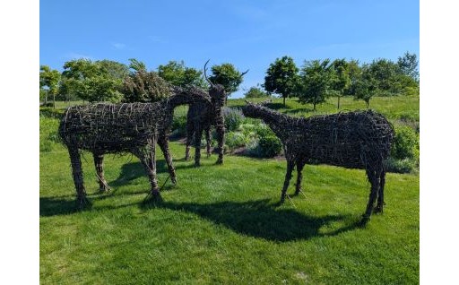 旭川駅前に動物園??