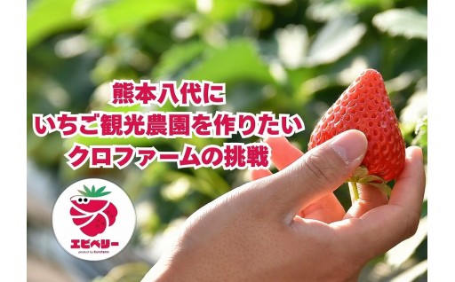 地元八代にいちご観光農園を作りたい！！！いちご観光農園開園