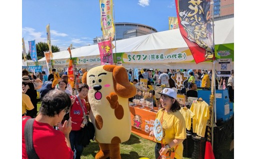 国内外の延べ232万人超を魅了！全国発信とおもてなしで、八代のファンを広げる官民一体プロモーション