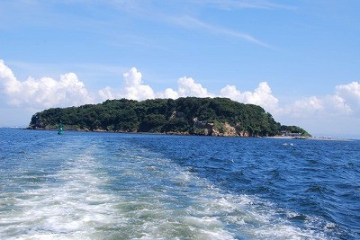 猿島基金