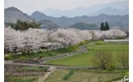 ふるさとの環境・景観保全のための事業