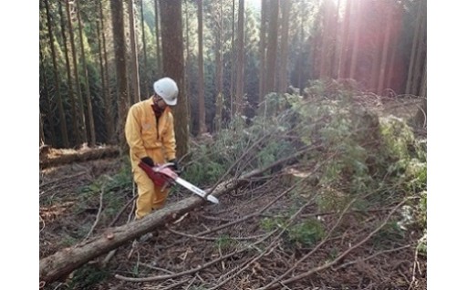 (4)森林保全に関する事業