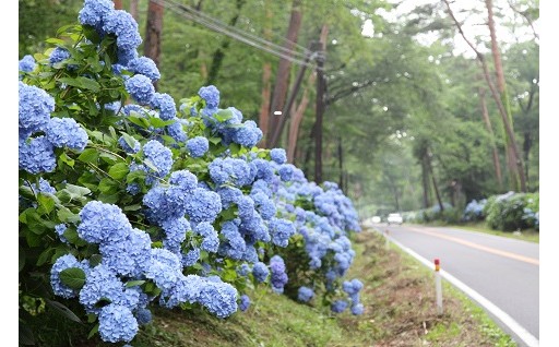 地域産業の振興に関する事業