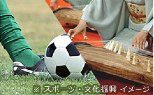 教育・文化・スポーツ活動の充実