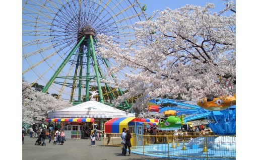 華蔵寺公園遊園地管理運営事業
