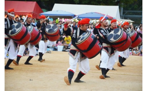 4　歴史、文化その他の地域資源の保存及び活用に関する事業