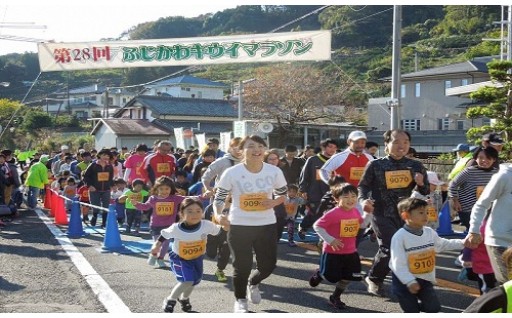 「駆ける」 〜ふじかわキウイマラソン〜B 【ふるさと納税】 1267晩秋の富士川を
