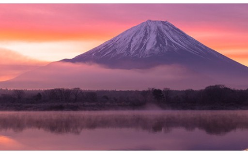 富士山の保全、環境美化に関する取り組み 