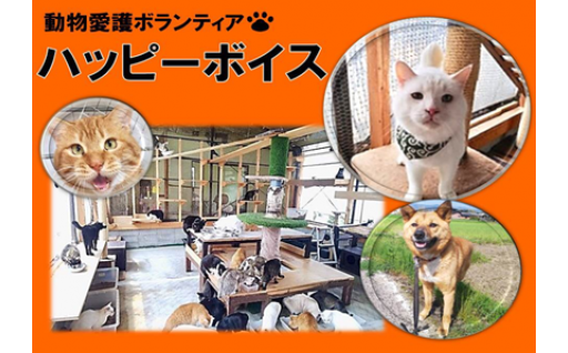 検索結果 動物愛護  ふるさとチョイス