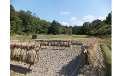 里山保全事業　