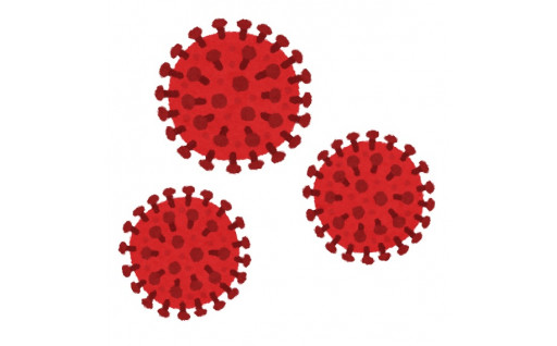 (１)　新型コロナウイルス感染症対策に関する事業