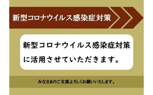 新型コロナウイルス感染症対策に関する事業に活用