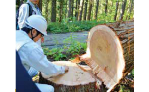 5.森林・林業再生事業（しらたかの里山再生事業）