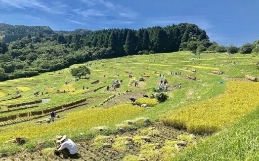 ① NPO法人 大山千枚田保存会