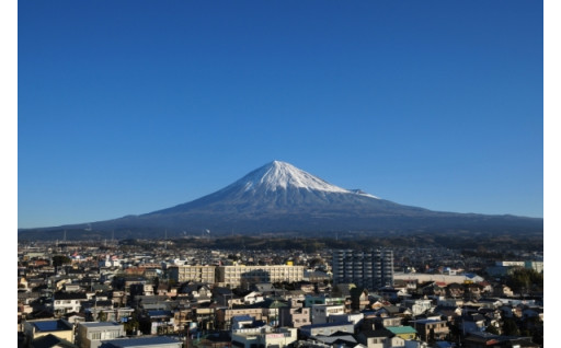 2.日本人のふるさと富士山のために