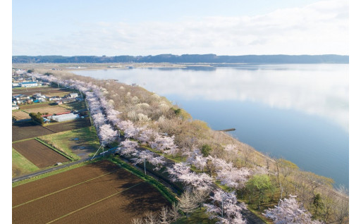 (1)小川原湖を中心とした自然環境の保全に資する事業