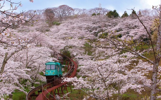 2　“桜のトンネル”を行くスロープカー整備等に関する事業