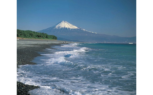 海の環境保全・資源回復
