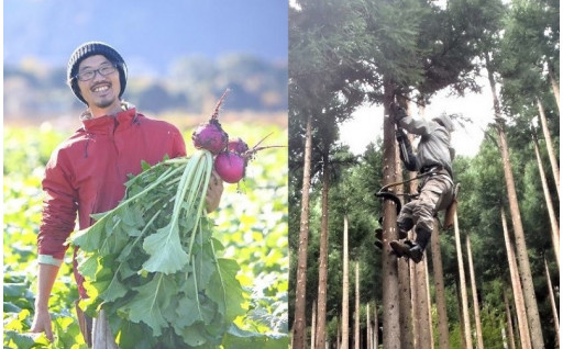 木の文化の継承や京野菜などの農林畜水産物の生産・販売を応援