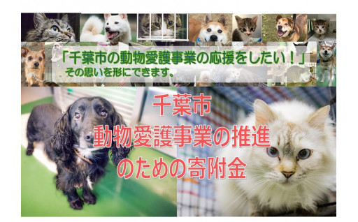 ４ 動物愛護事業の推進