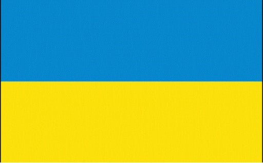 （お礼の品はございません）千葉市ウクライナ避難民支援寄附金