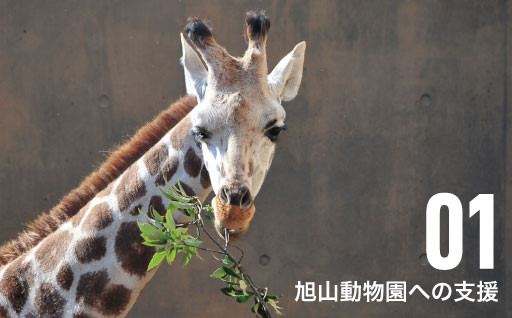 旭山動物園のさらなる「夢」を、みなさんのご協力によって実現します