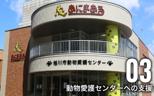 犬・猫にやさしい街を目指す「あにまある」の活動にご支援を！