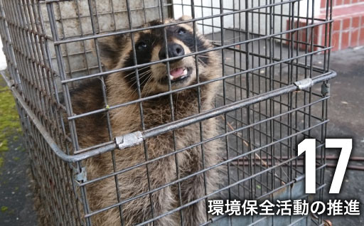 アライグマやウチダザリガニなどの外来種による被害を防止し、旭川市の豊かな自然を守ります