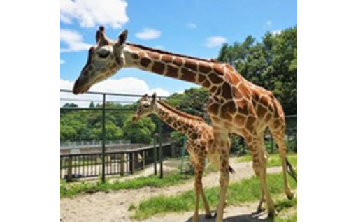 19　動物園