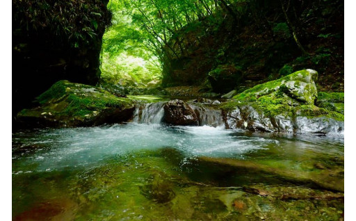 森と水と川を守る事業