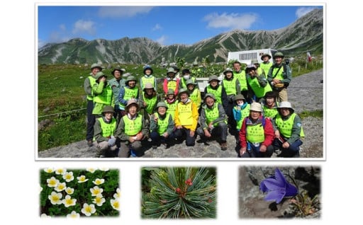 7　立山の高山植物保護活動の充実