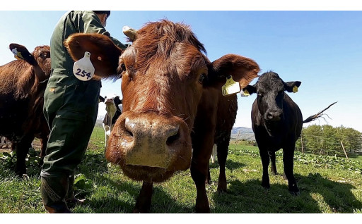 北里八雲牛生産拡大プロジェクト