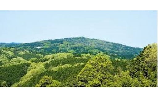 ちいさな農家さんの大和ほうじ茶詰め合わせセット//ミニブック「山添村