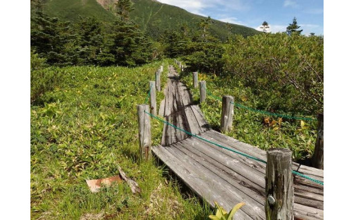 田の原遊歩道整備