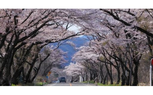 秋保・広瀬・大沢・根白石地域活性化サポーター