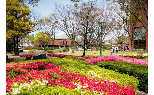 ４．ふるさとの花と緑をふやす（花と緑のまちづくり事業）