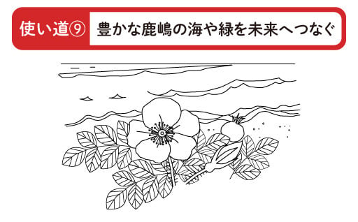 豊かな鹿嶋の海や緑を未来へつなぐ事業