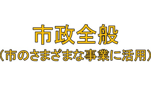 市政全般(市のさまざまな事業に活用)