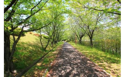 緑の保全及び環境の保護