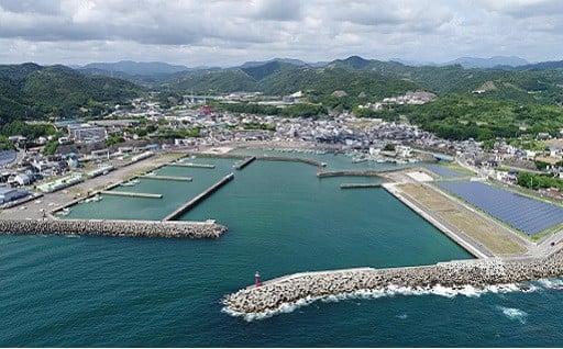 その他別に町長が定める事業