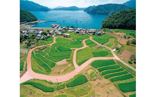 その他　高浜町を元気にするために町長が必要があると認める活動への応援　