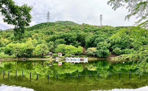 環境に関すること