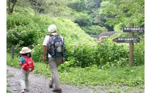 人と自然が共生するまちづくり事業