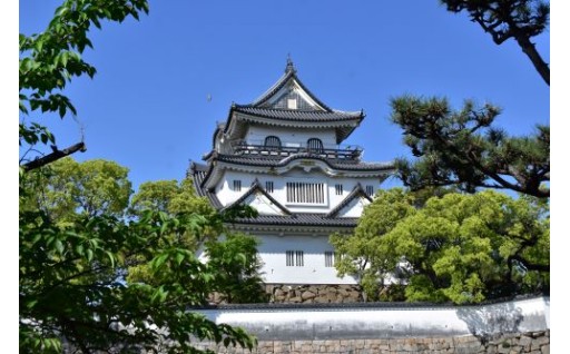 3.岸和田城周辺等の観光のために
