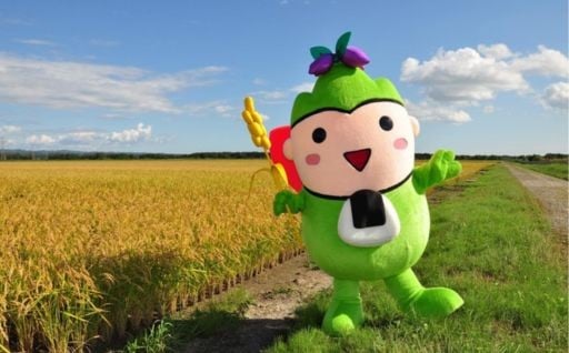 地域振興に関する事業