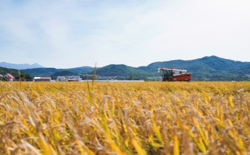 1. 安全・安心な農産物の生産供給等農業振興に関する事業