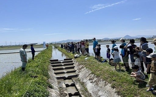 山、川、琵琶湖等の豊かで良好な自然環境を保全し、次世代に引き継ぐための事業（環境）