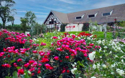 ②地域の資源を活かした「地域経済活性化プロジェクト」