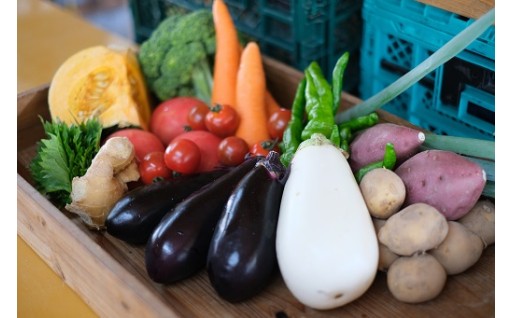 ６、産業応援プロジェクト